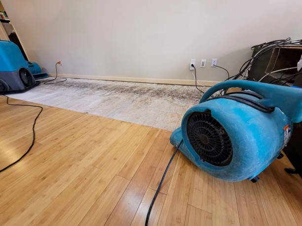 Professional Sewage Cleanup technician working in South Haven, MN